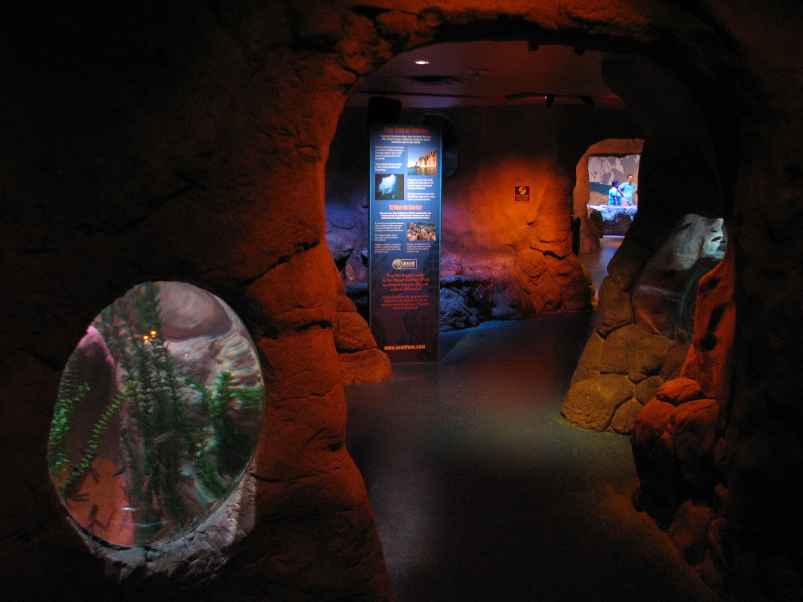 Cave - Exhibits