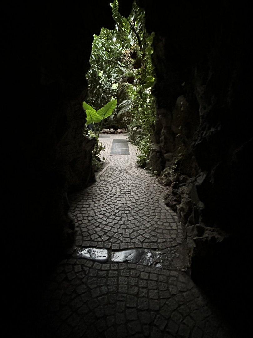 ‘Cave exit’ inside the Butterfly Garden