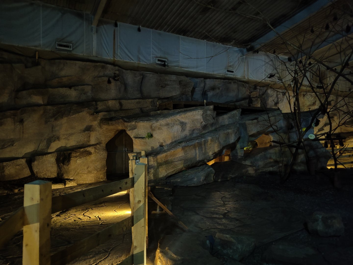 Cave exterior in fruit bat forest