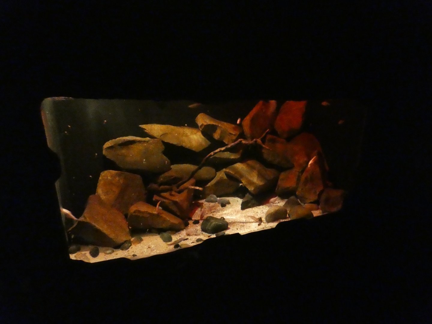 Cave fish enclosure (Twilight World underground area)