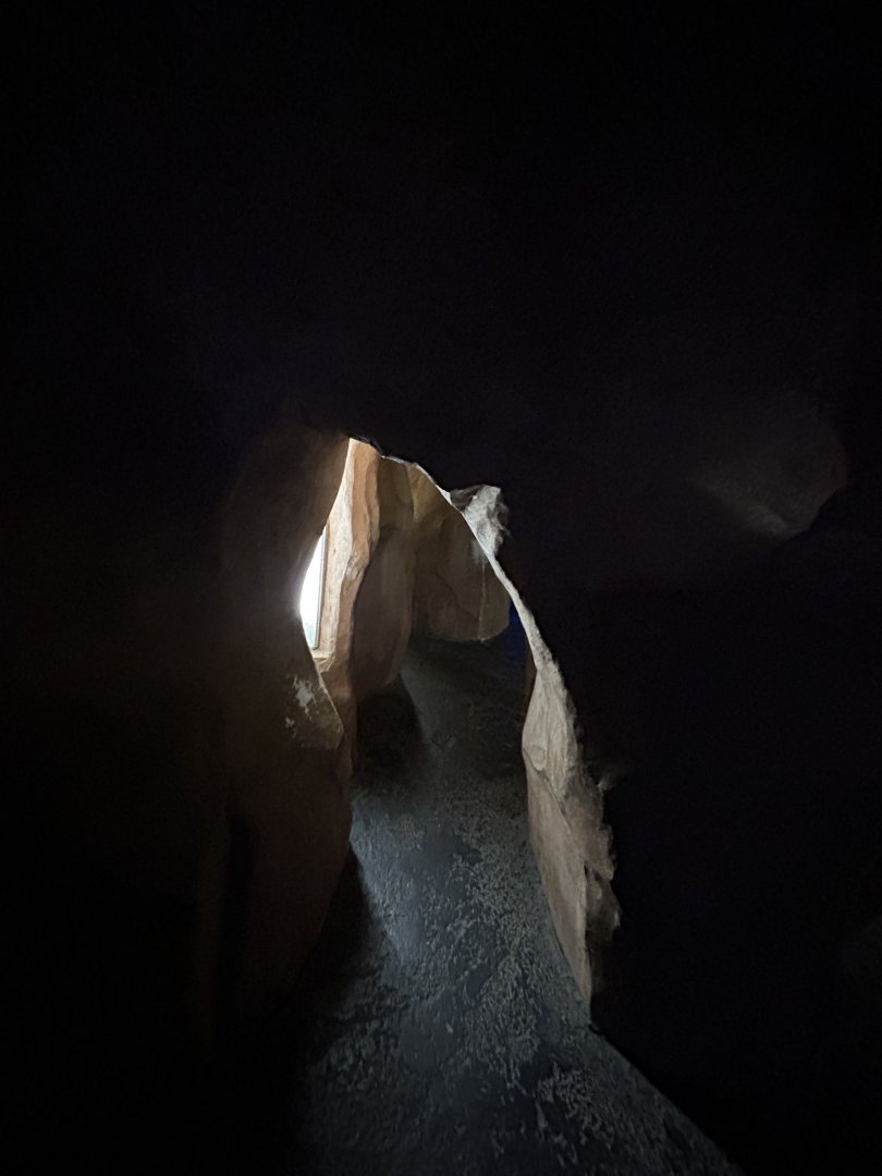 Cave in the Aquarium