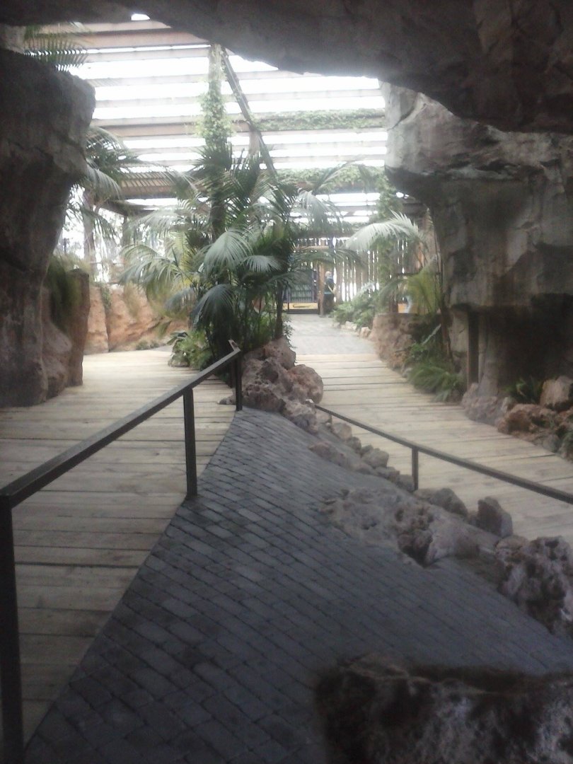 Cave leading to the hippo pool and to the amphibian exhibits