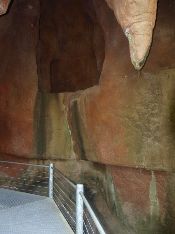 Cave (May 2nd, 2015)