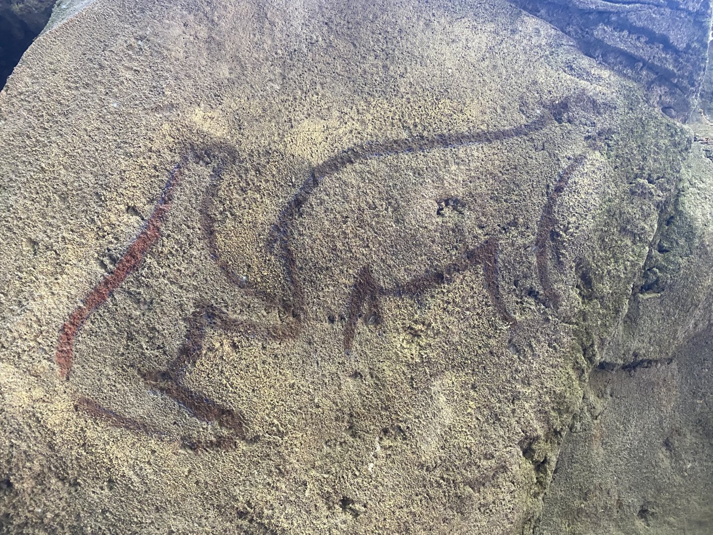 Cave paintings image 2