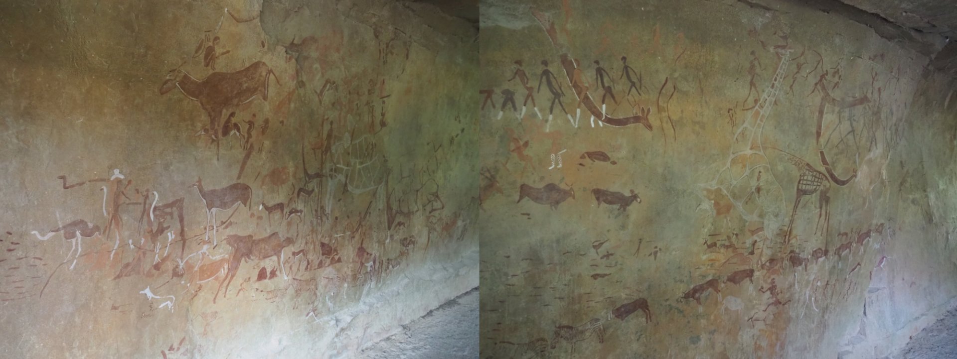 Cave paintings in the bonobo viewing cave underneath the African village, 2020-07-14