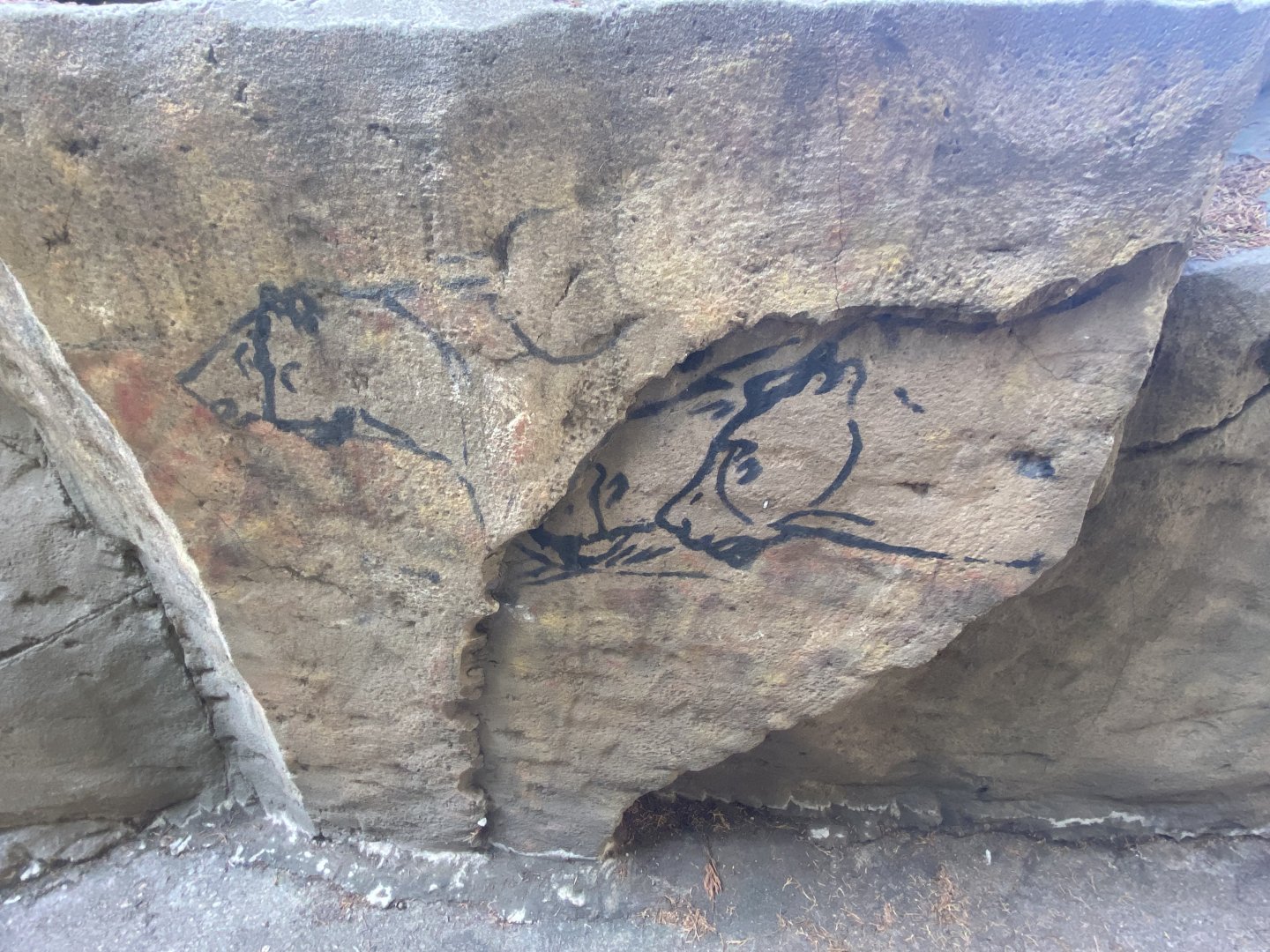 Cave paintings