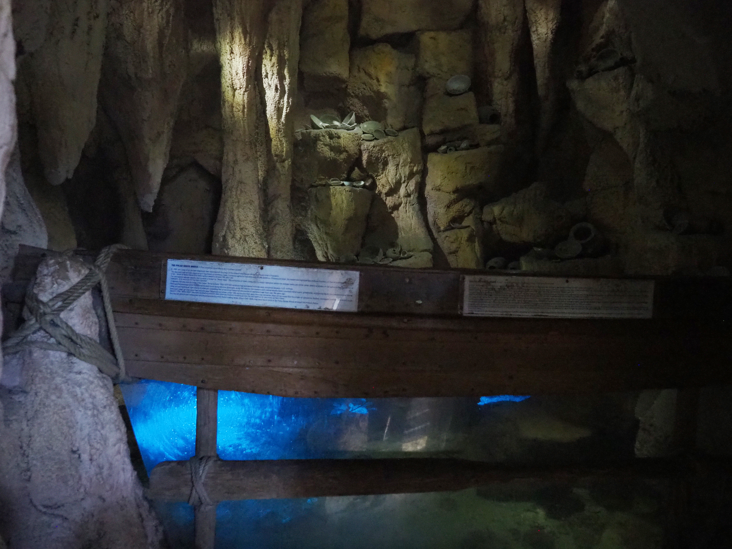 Cave tank with Bamboo sharks, Port Jackson sharks and Stingrays, 2022-09-14