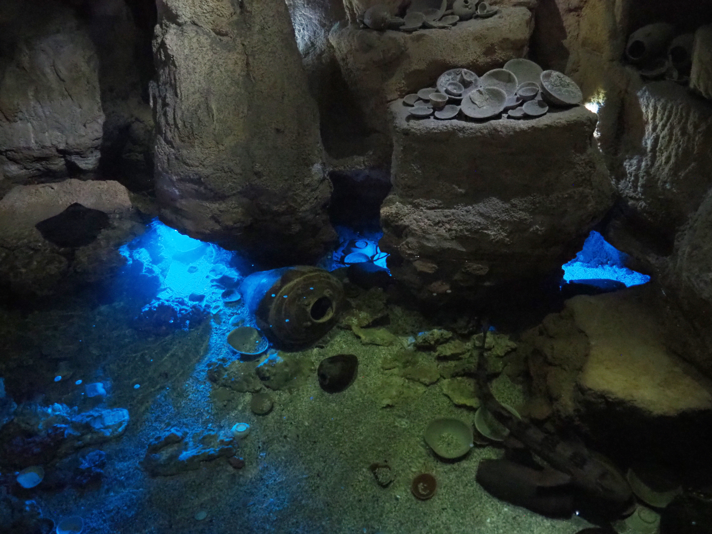 Cave tank with Bamboo sharks, Port Jackson sharks and Stingrays, 2022-09-14