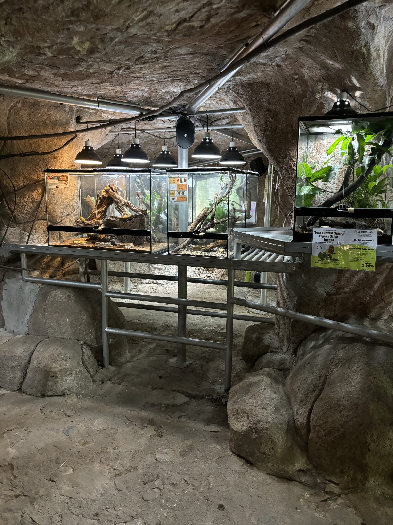 Cave Terrarium Area