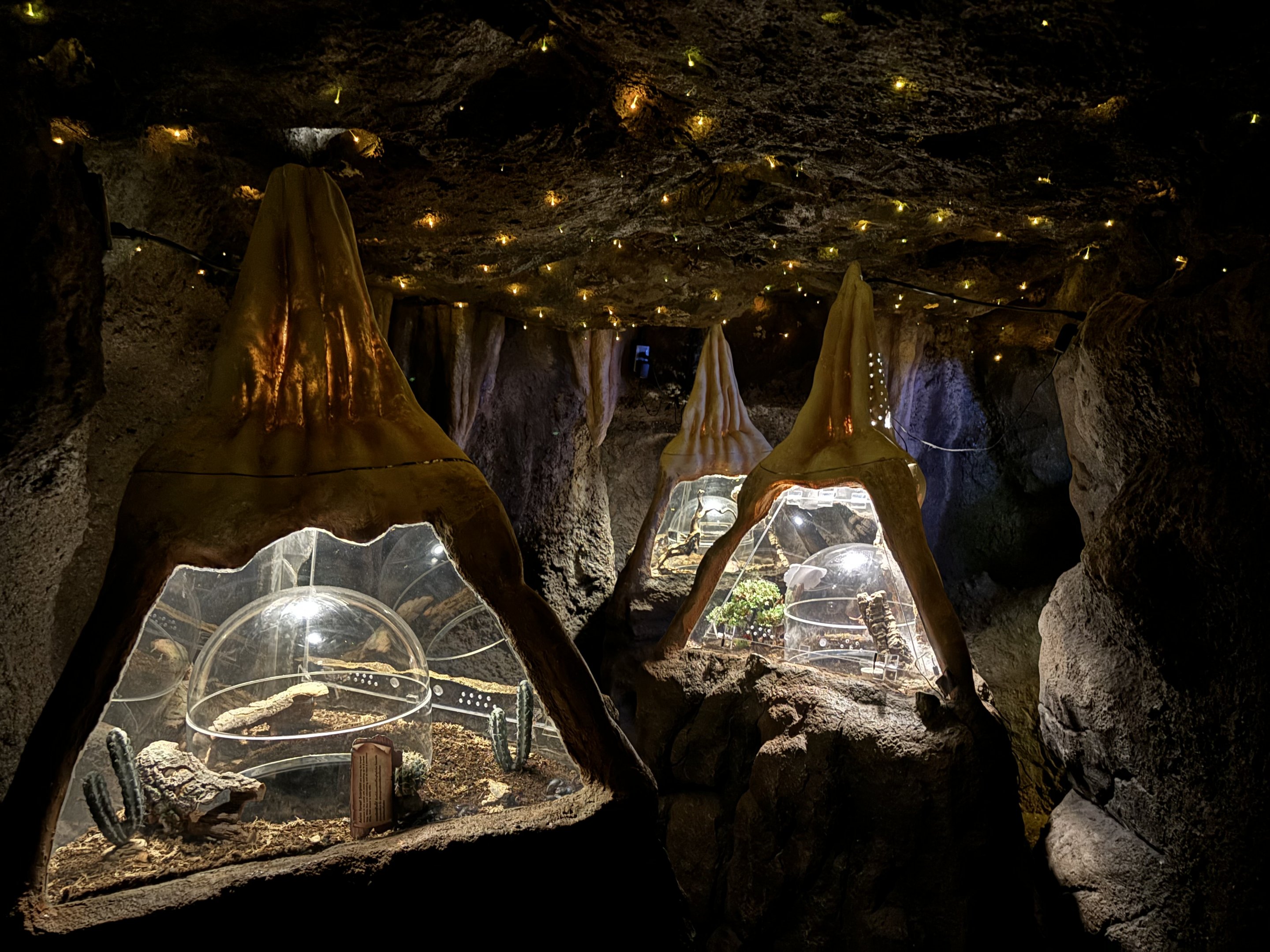 Cave Terrariums