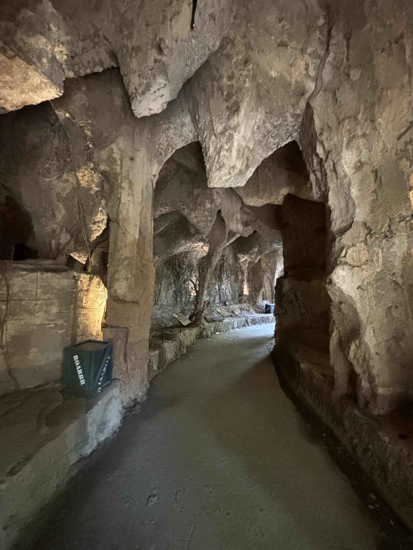 Cave Trail - only 1 animal exhibit