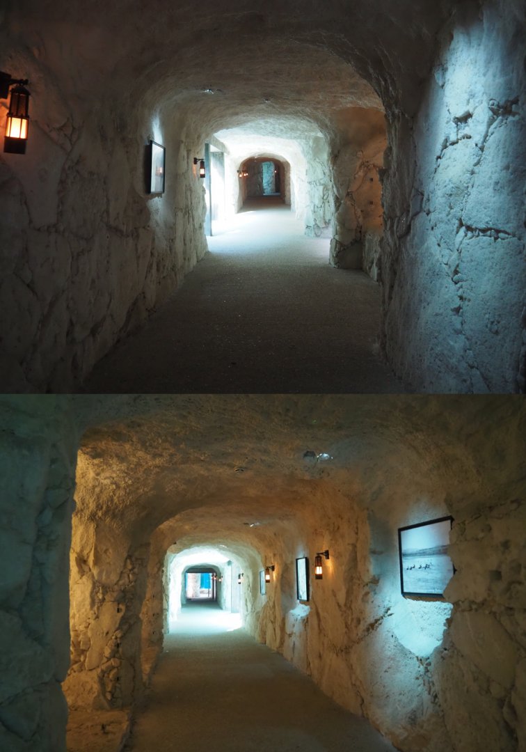 Cave with Pacific walrus underwater viewing areas, 2020-09-02