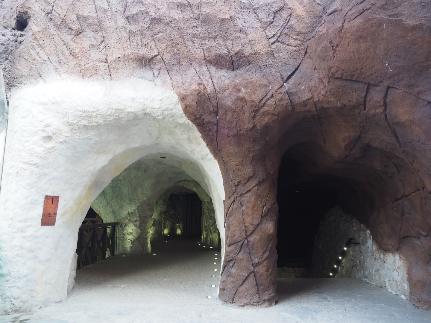 Cave with Polar bear and Pacific walrus viewing areas, 2020-09-02