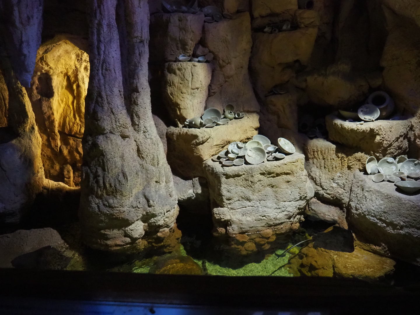 Cave with wobbegong, Port Jackson shark, White-spotted bamboo shark and stingray aquarium, 2019-10-05