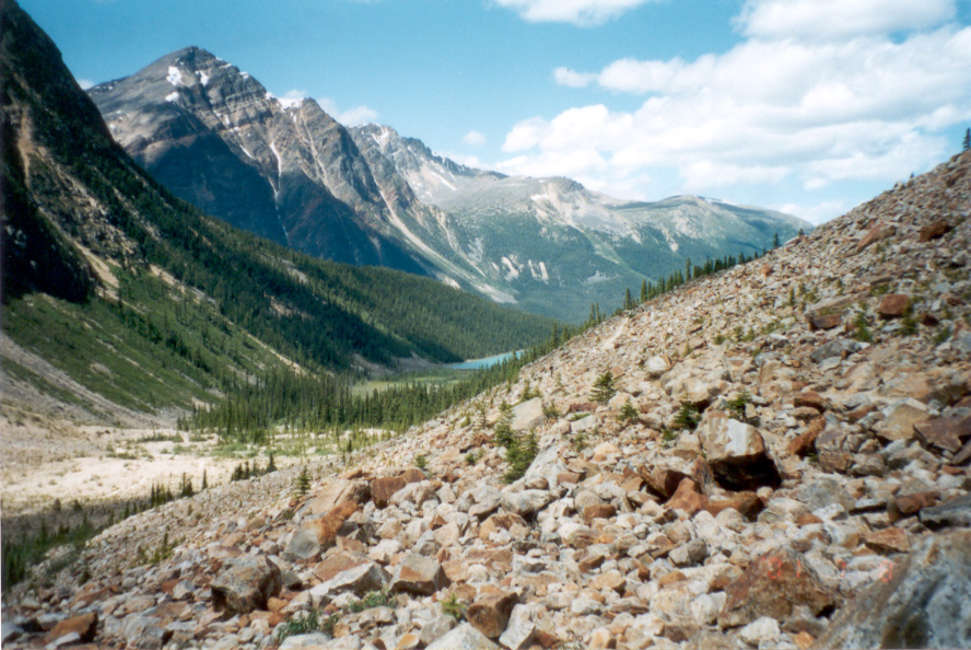 Cavell Lake, Canadian Rockies, July 2001