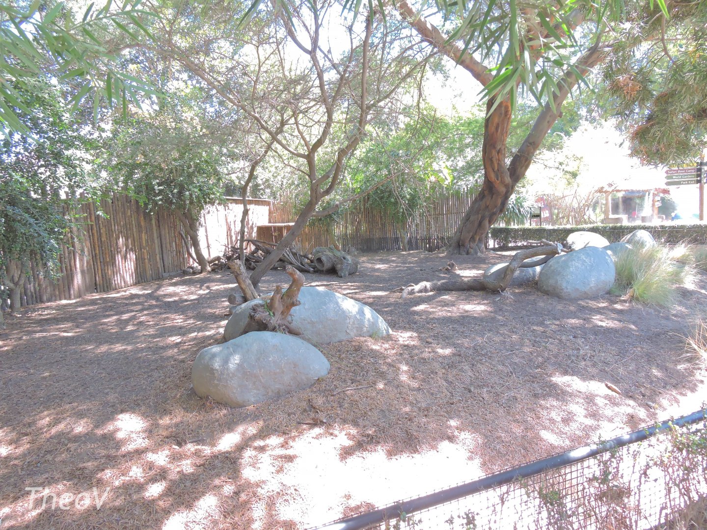 Cavendish's dik-dik exhibit [2015]