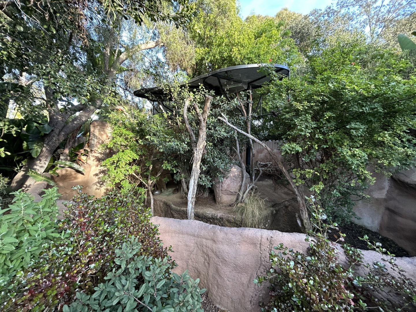 Cavendish’s Dik-dik Exhibit - Elephant Odyssey