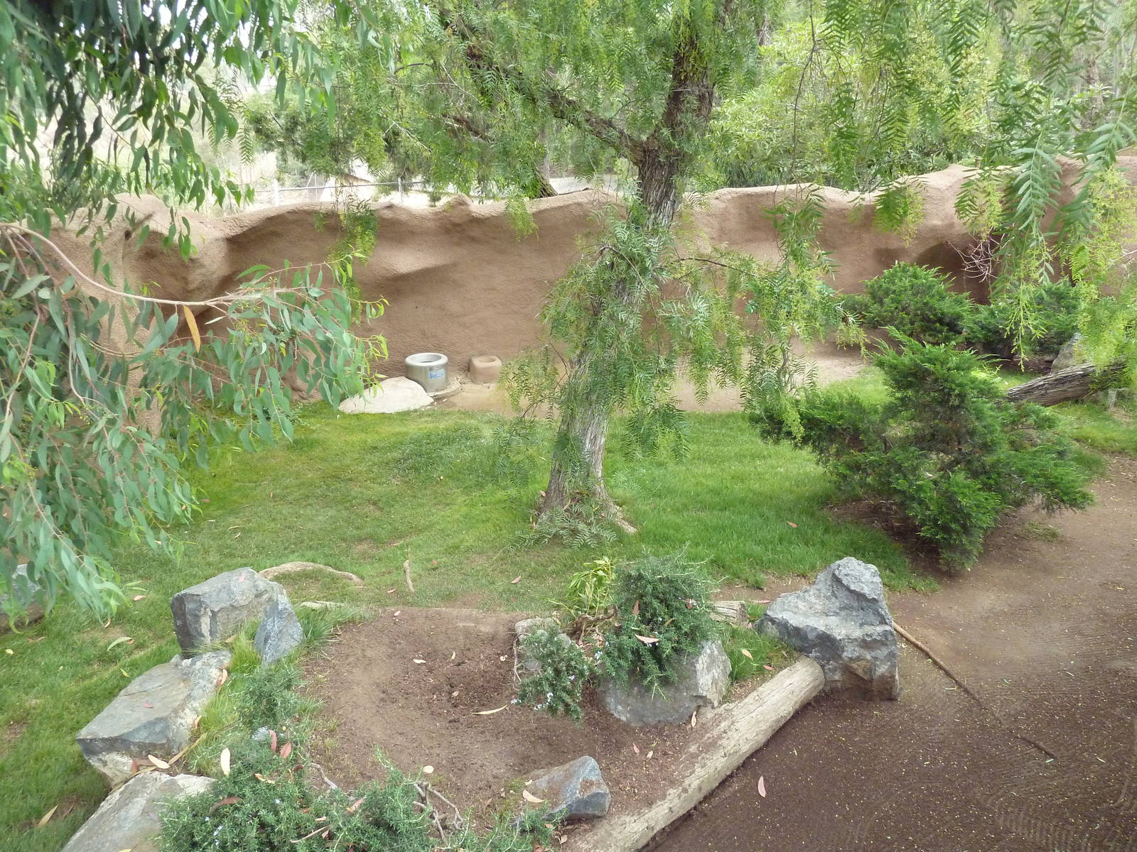 Cavendish's Dik-Dik Exhibit