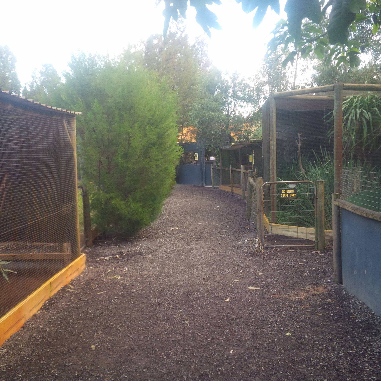 Caversham Wildlife Park WA