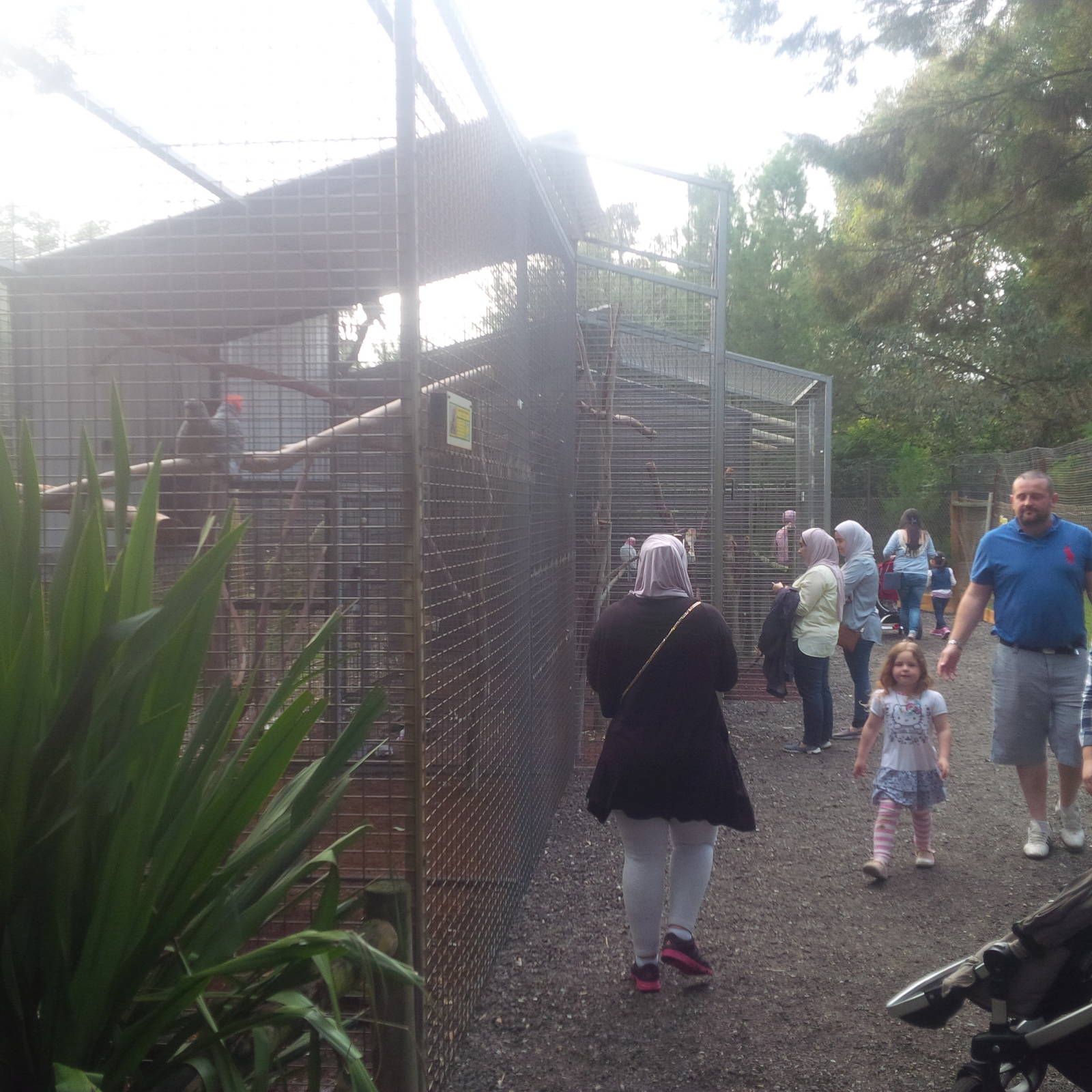 Caversham Wildlife Park WA