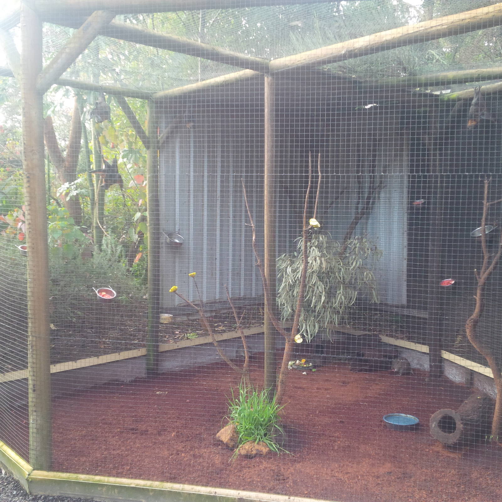 Caversham Wildlife Park WA