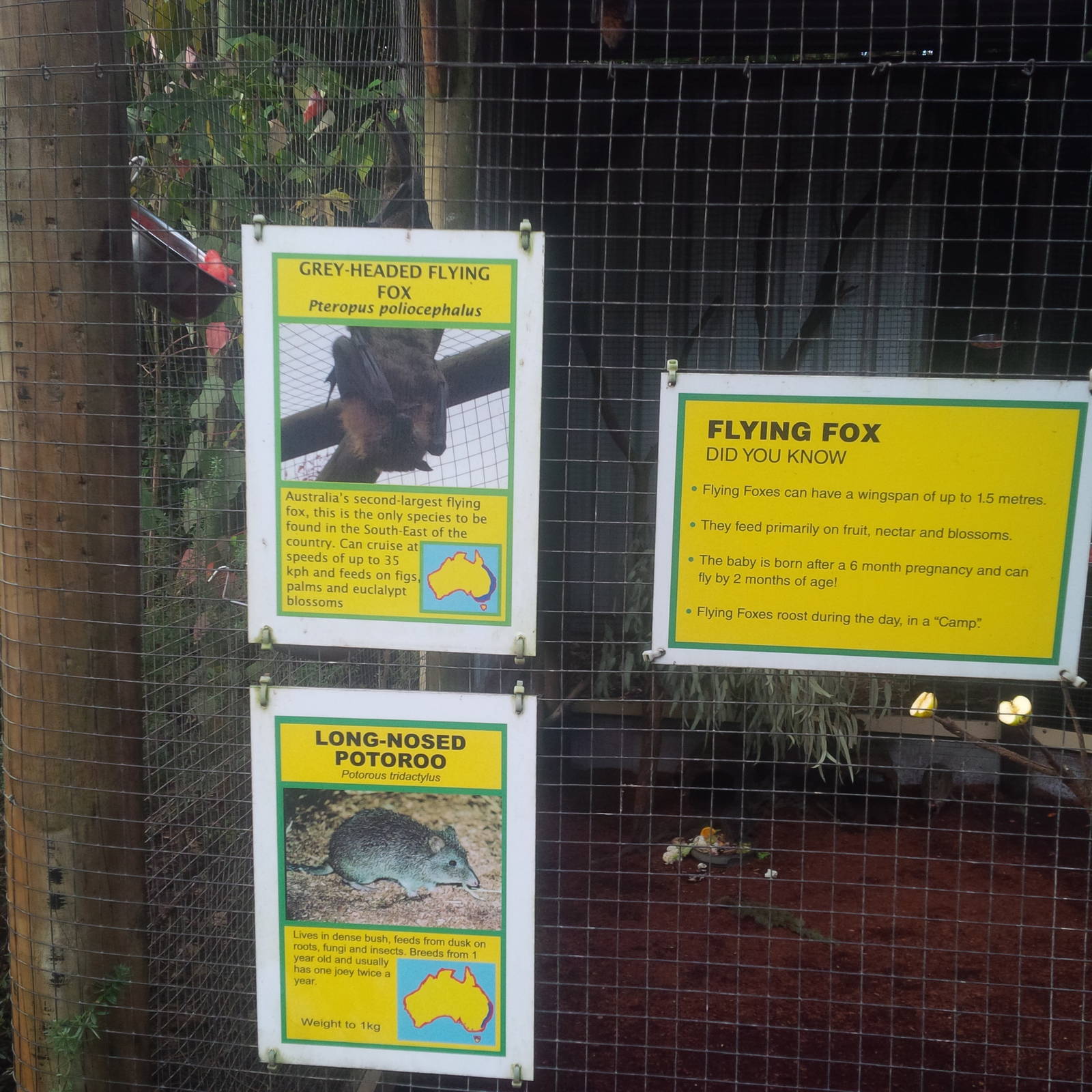 Caversham Wildlife Park WA