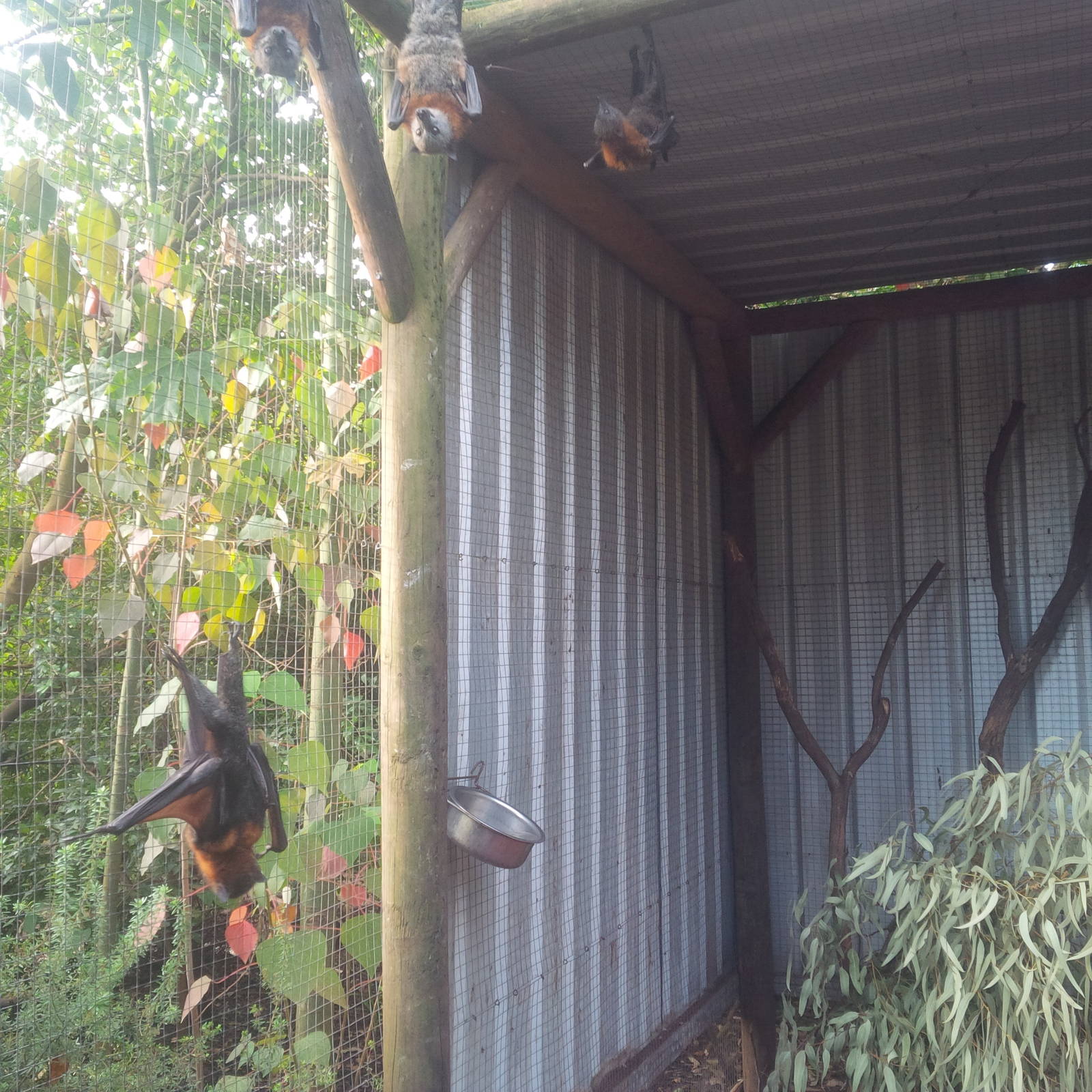 Caversham Wildlife Park WA