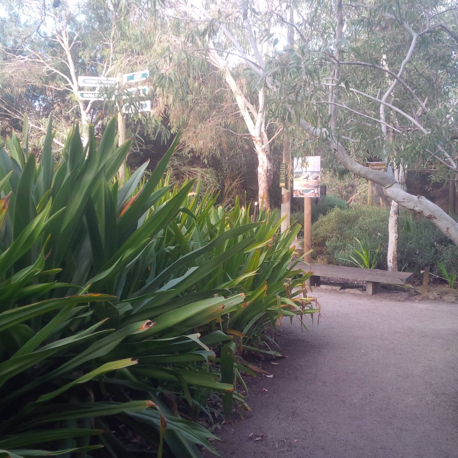 Caversham Wildlife Park WA