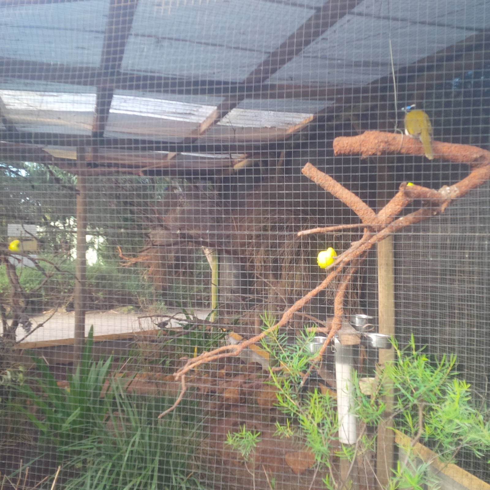 Caversham Wildlife Park WA