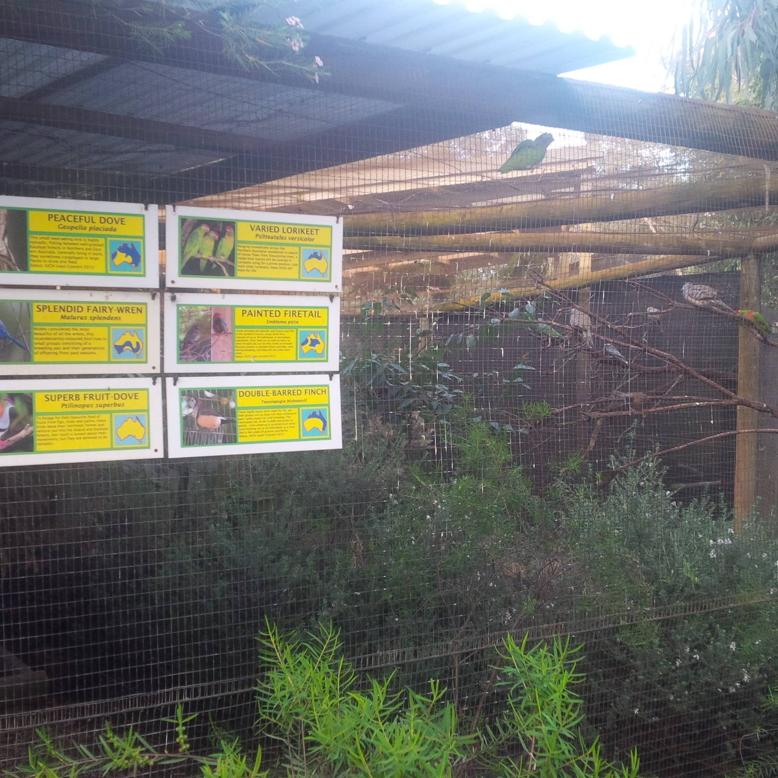 Caversham Wildlife Park WA