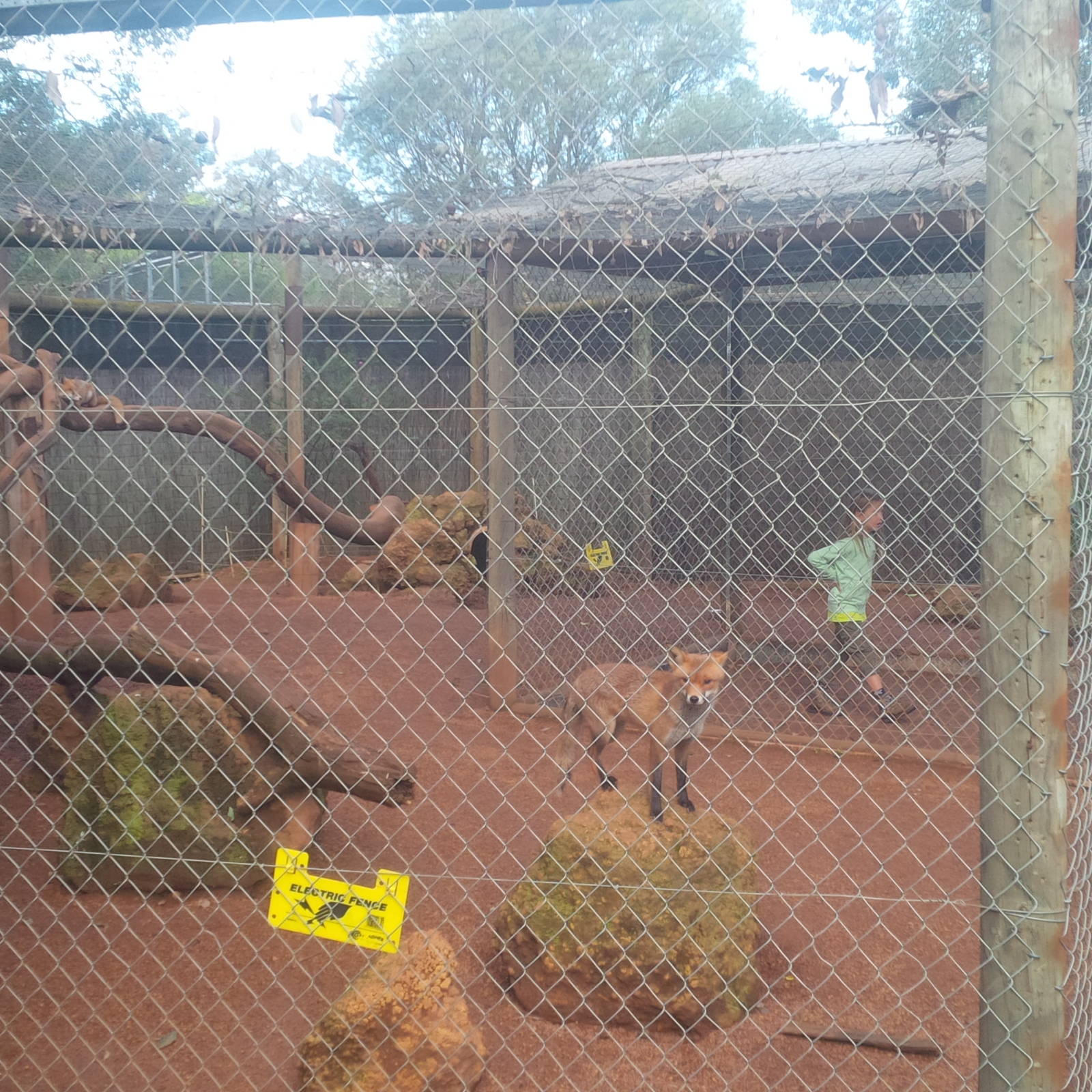 Caversham Wildlife Park WA