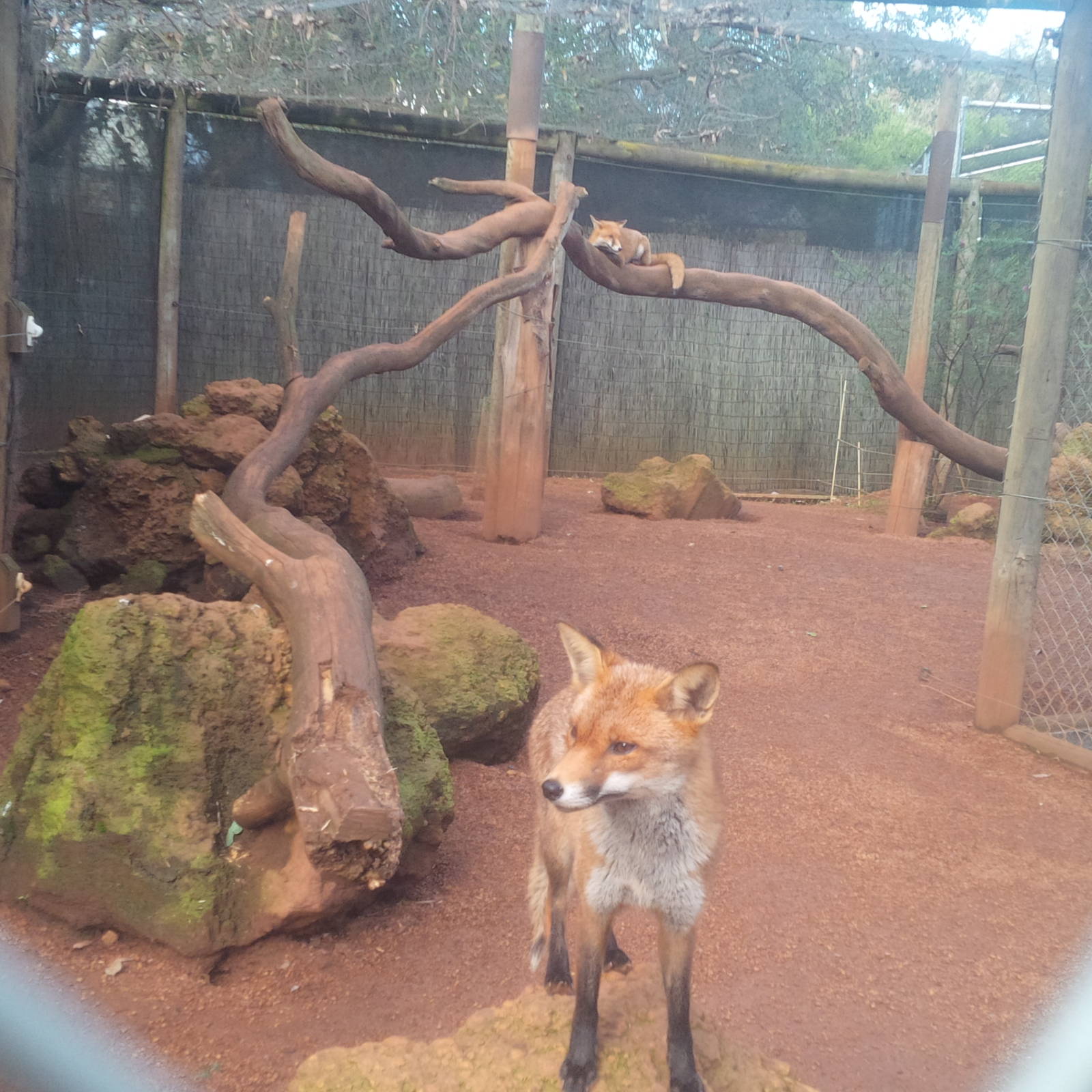 Caversham Wildlife Park WA