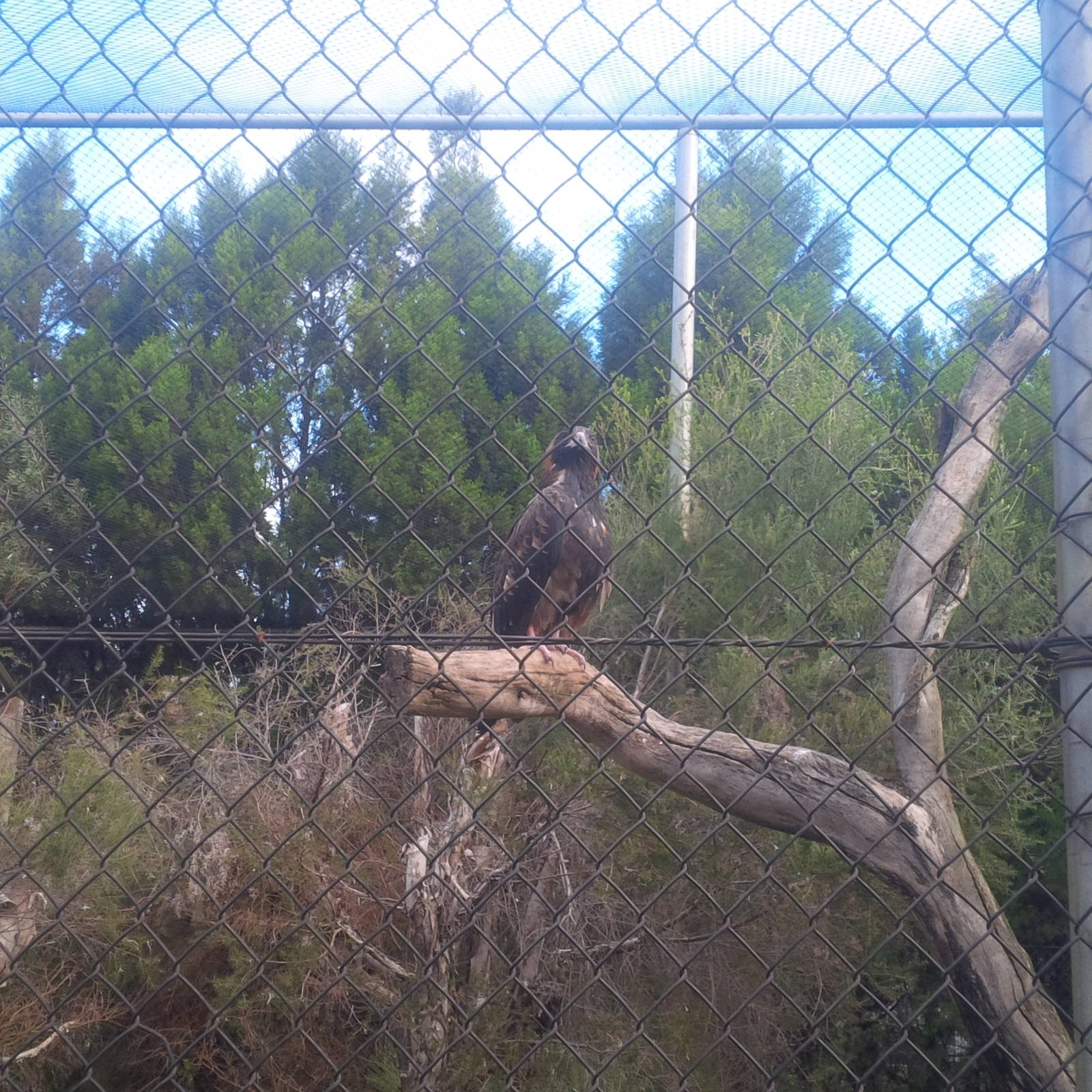 Caversham Wildlife Park WA