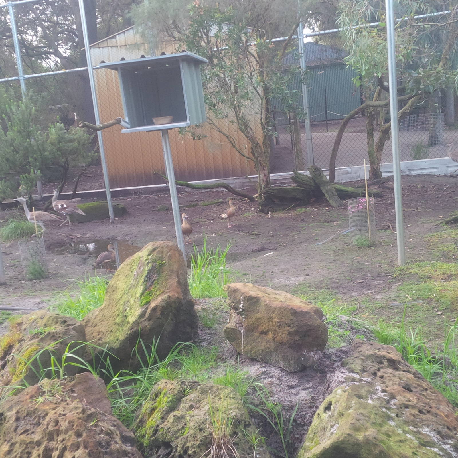 Caversham Wildlife Park WA