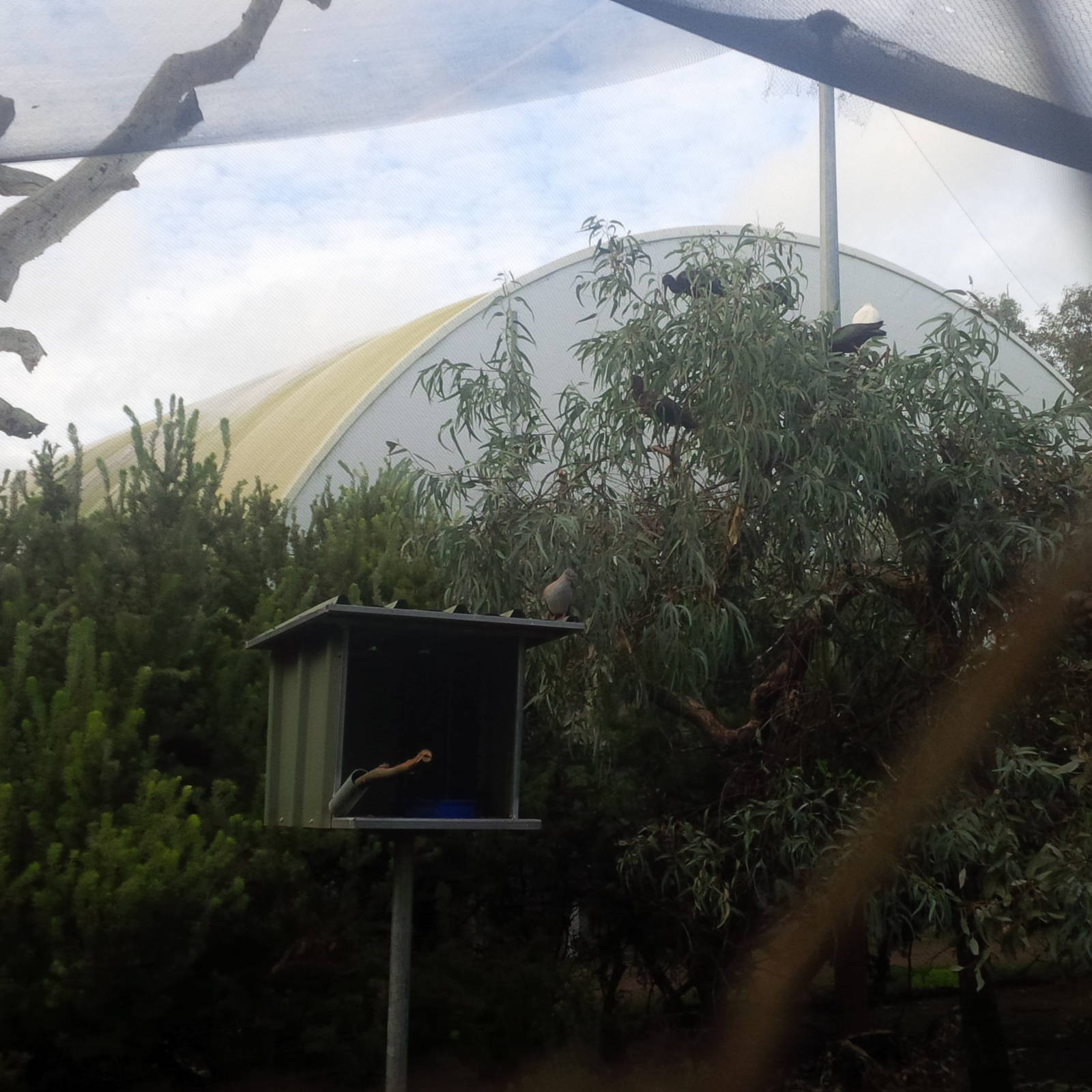 Caversham Wildlife Park WA