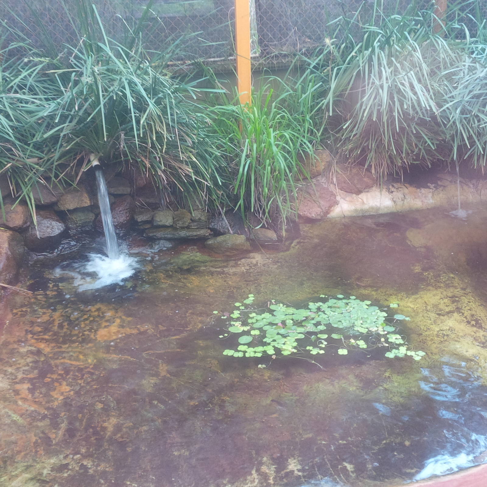 Caversham Wildlife Park WA