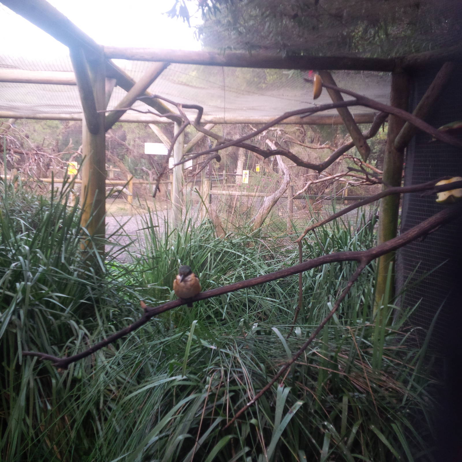 Caversham Wildlife Park WA