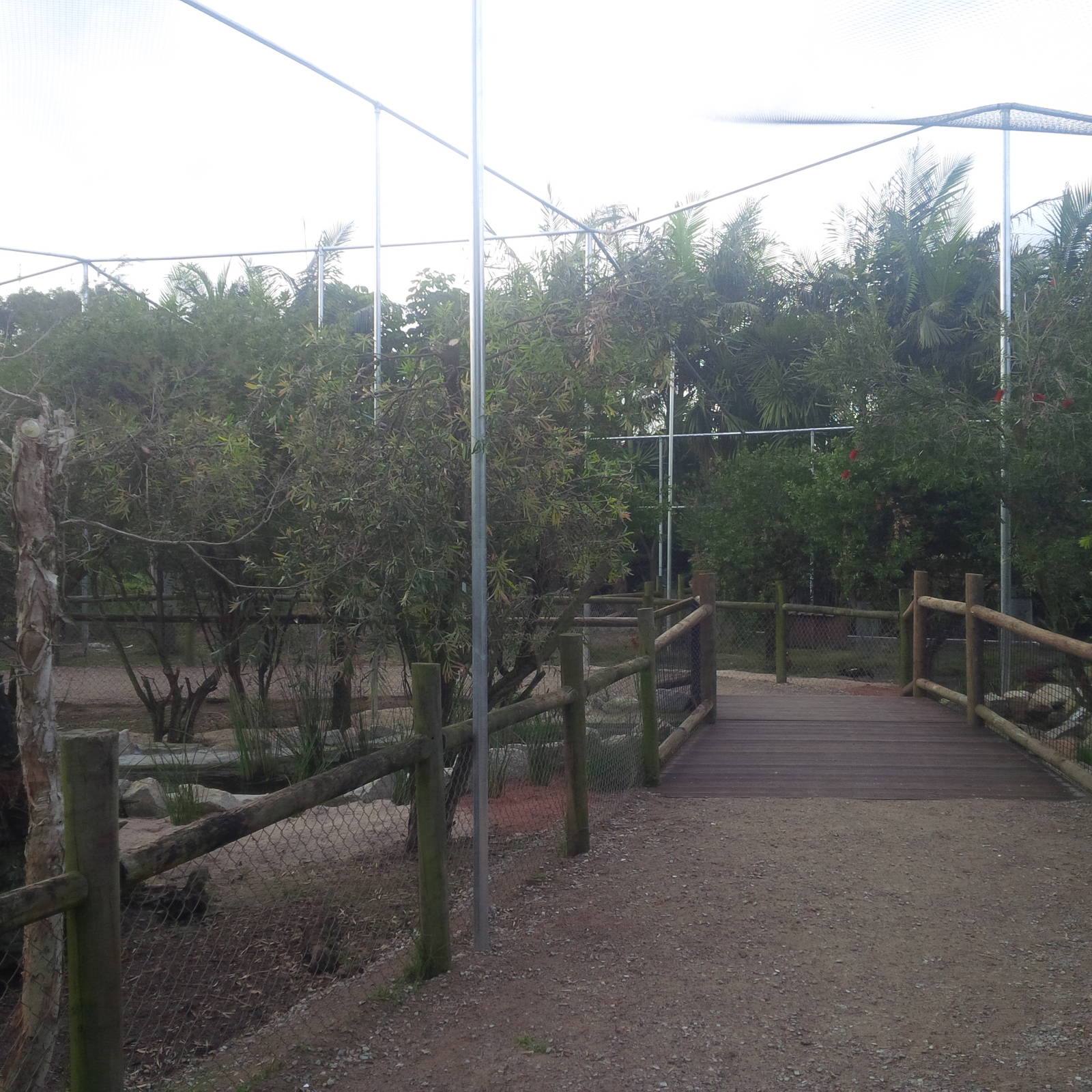 Caversham Wildlife Park WA