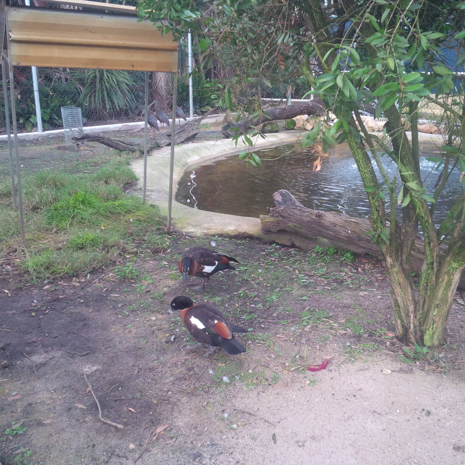 Caversham Wildlife Park WA