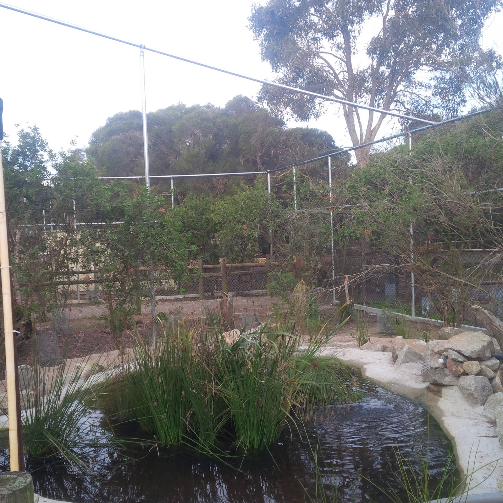 Caversham Wildlife Park WA