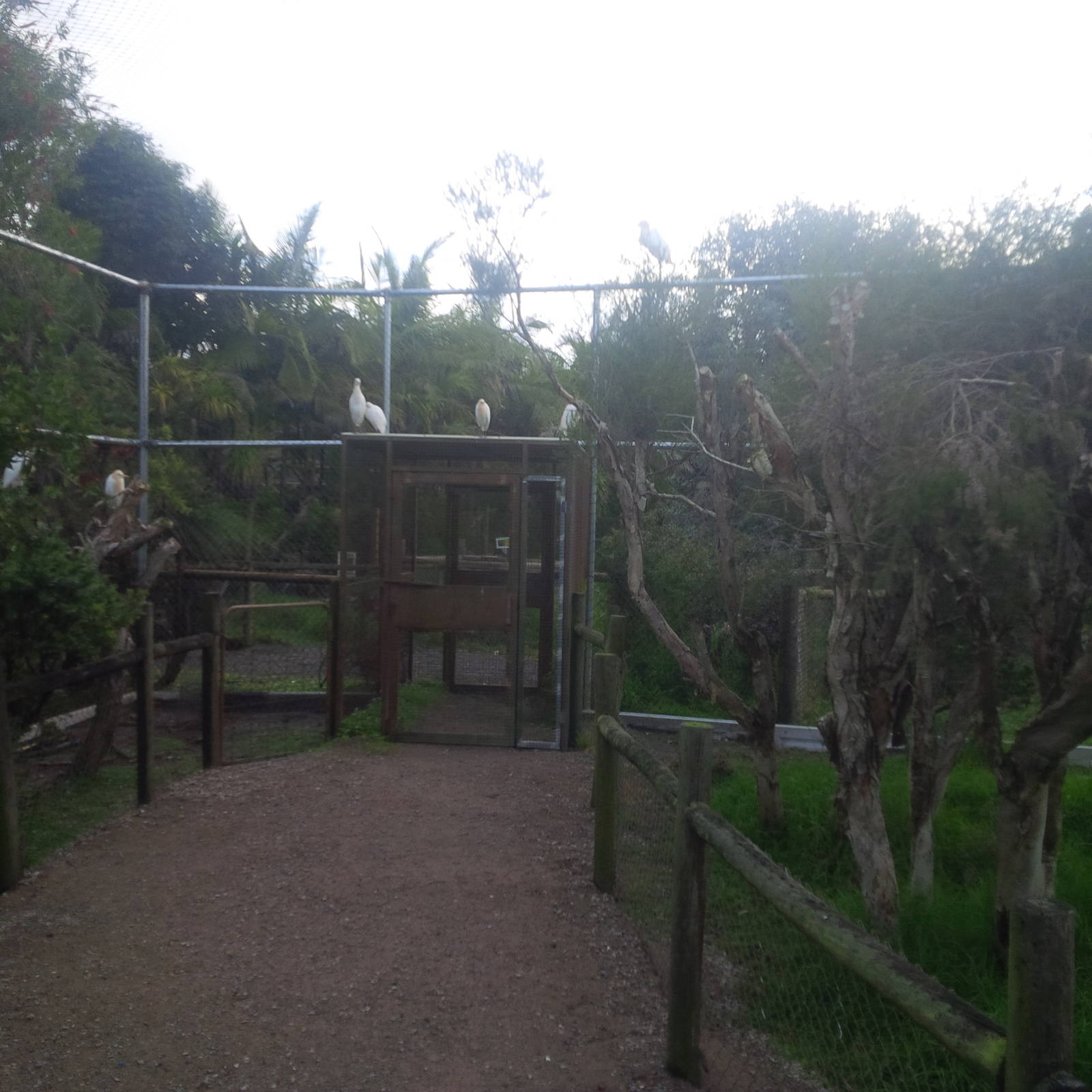 Caversham Wildlife Park WA