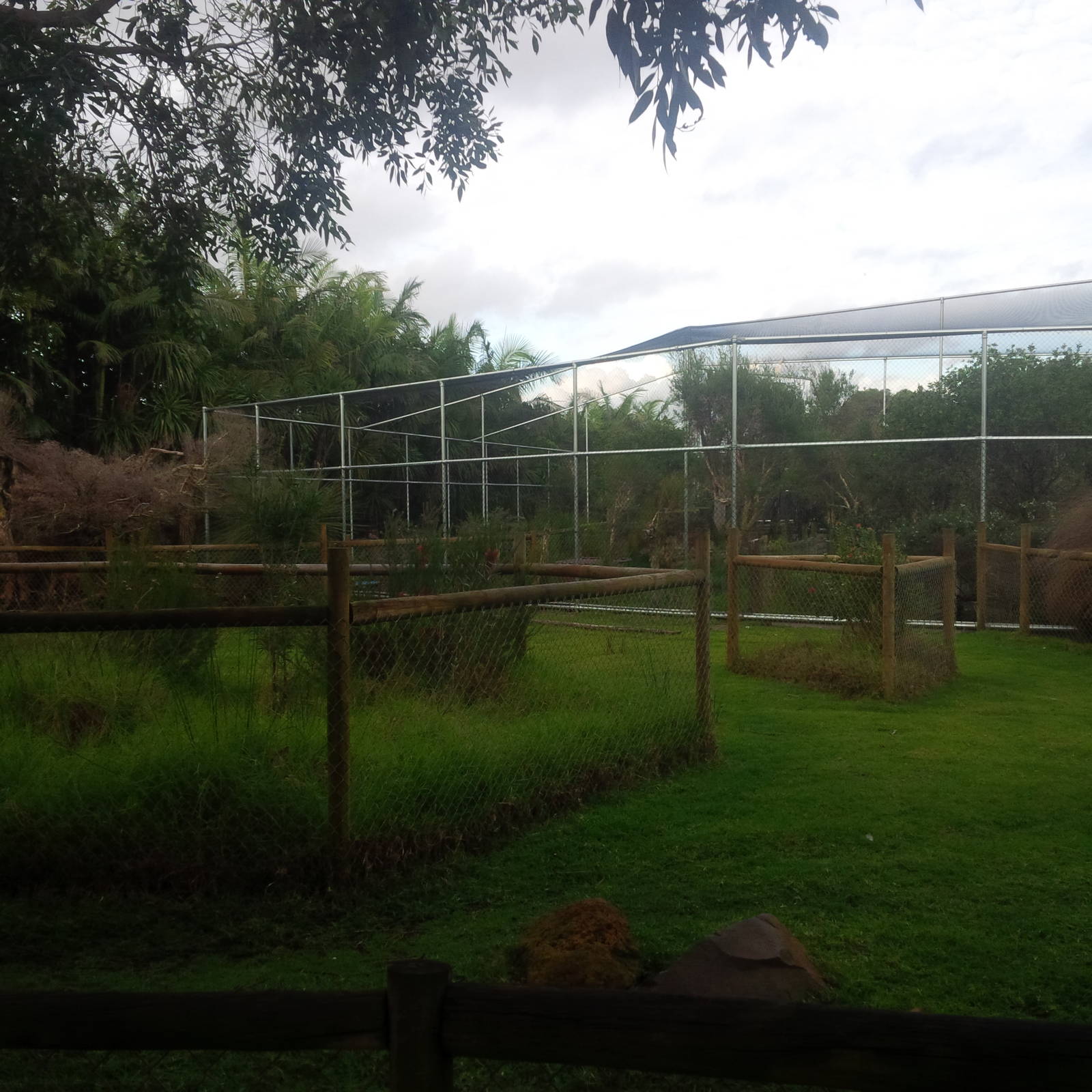 Caversham Wildlife Park WA