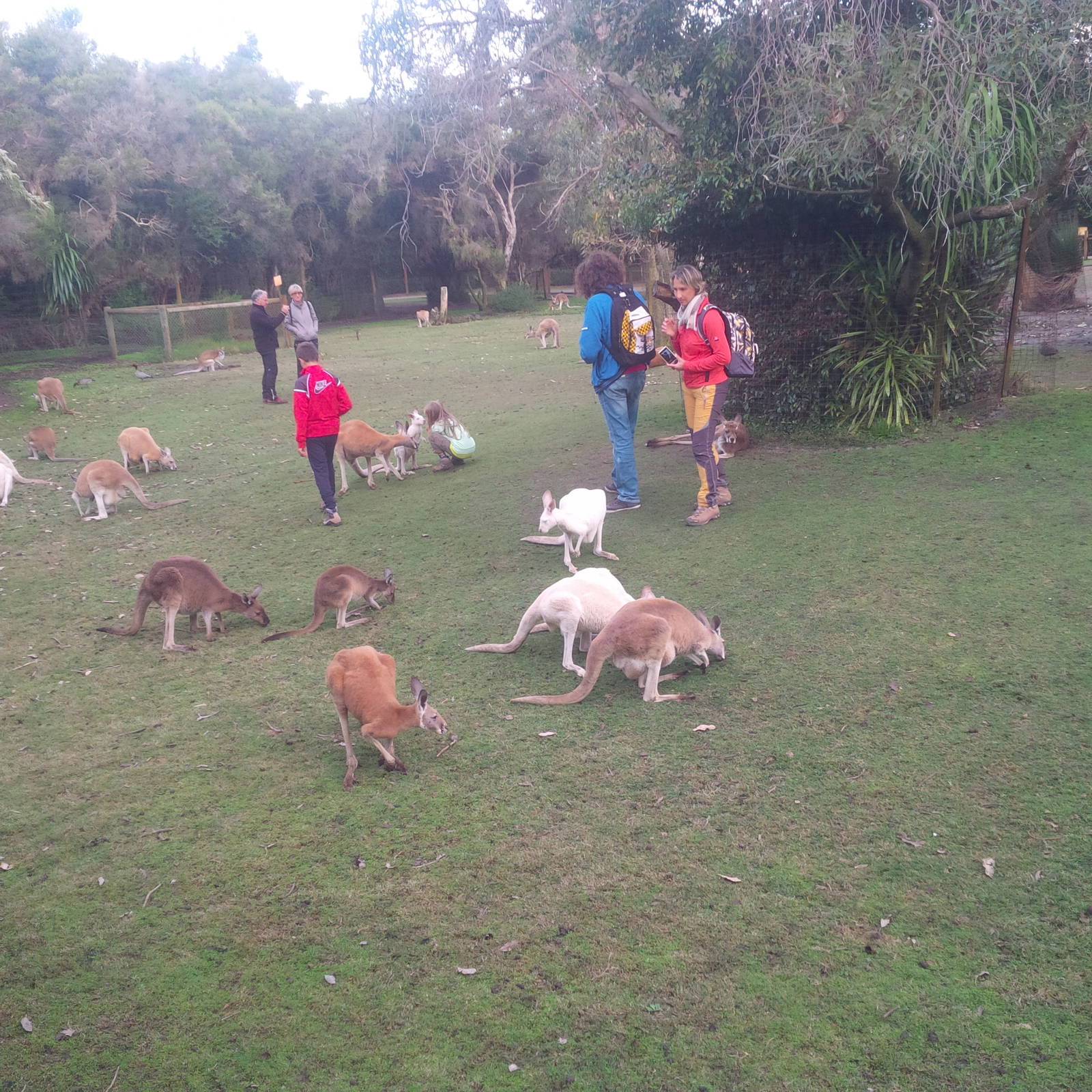 Caversham Wildlife Park WA