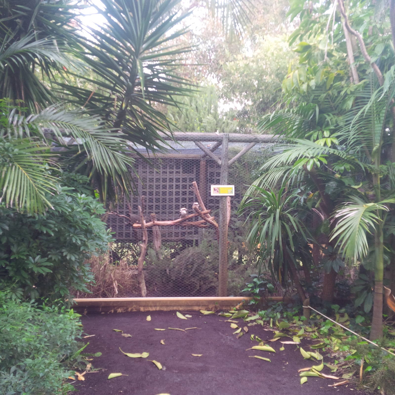 Caversham Wildlife Park WA