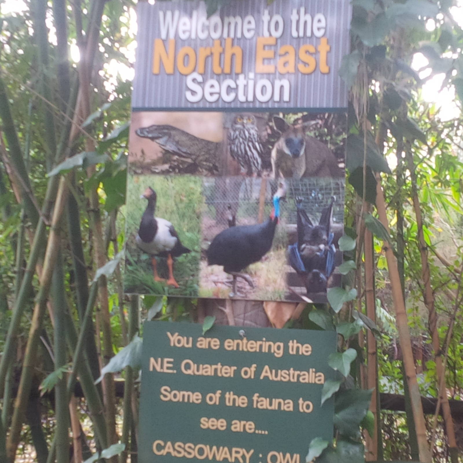 Caversham Wildlife Park WA