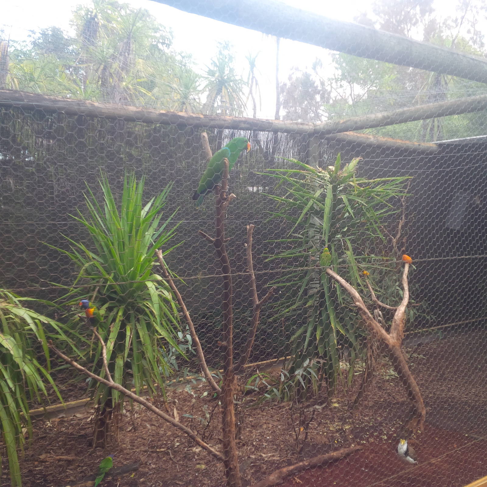 Caversham Wildlife Park WA