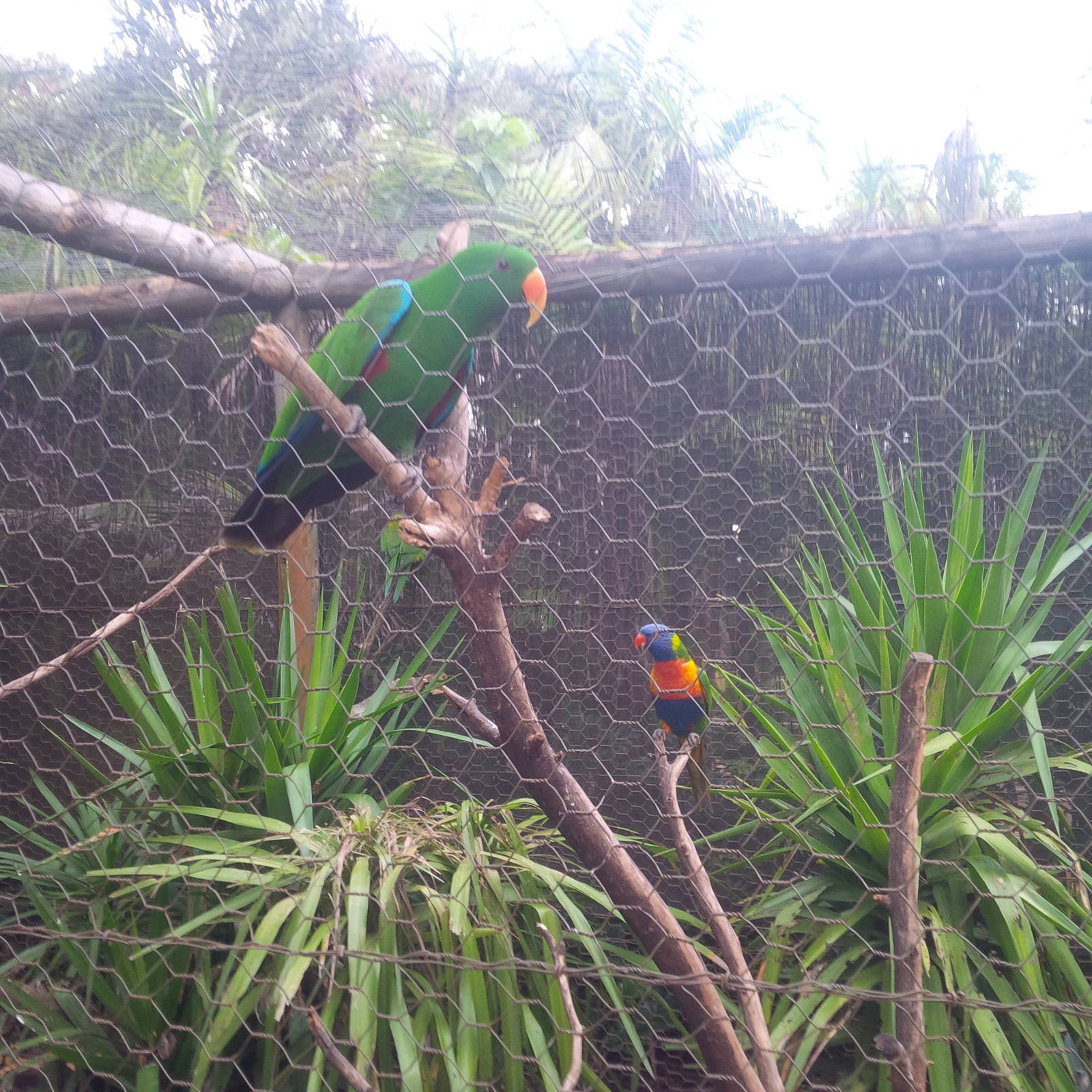 Caversham Wildlife Park WA