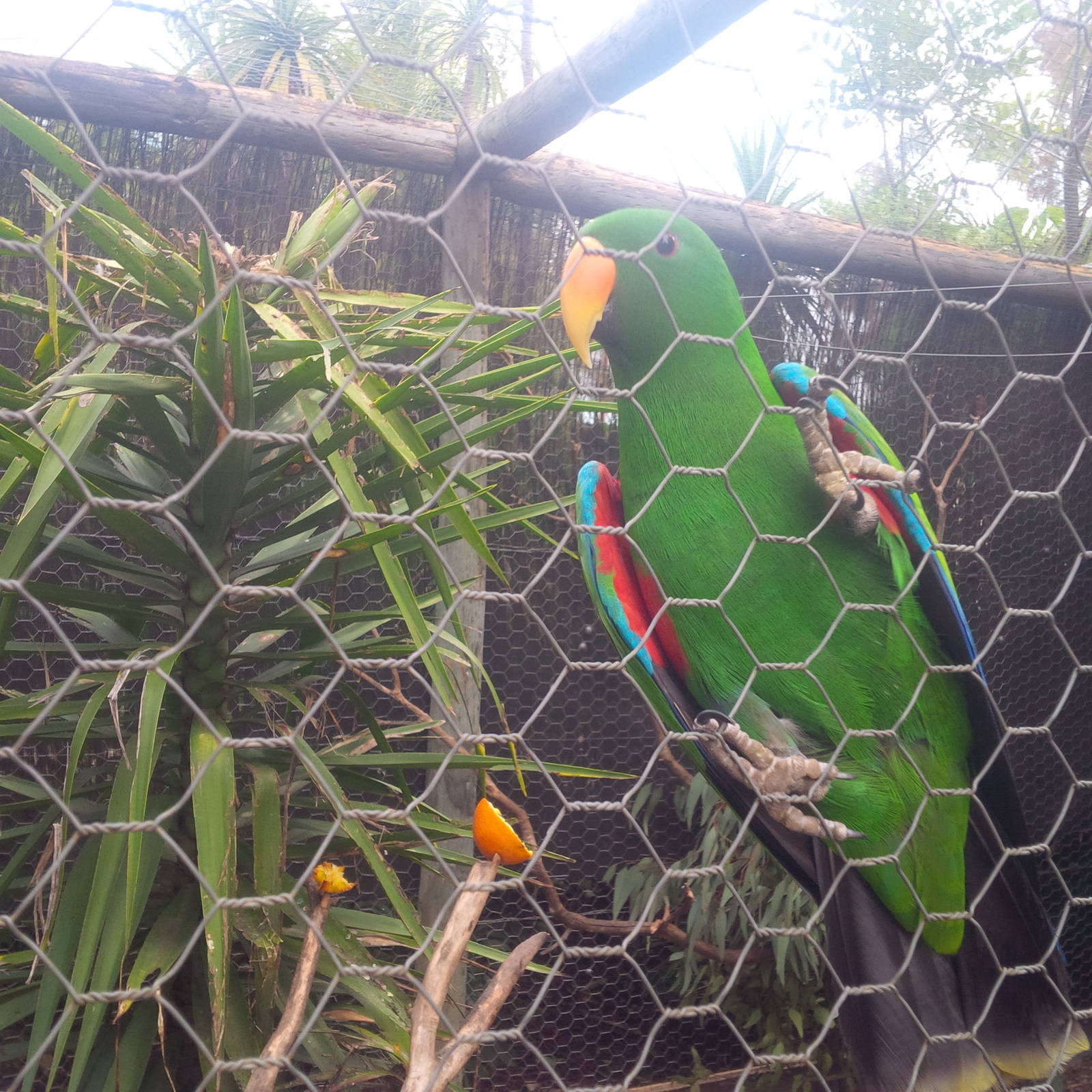 Caversham Wildlife Park WA