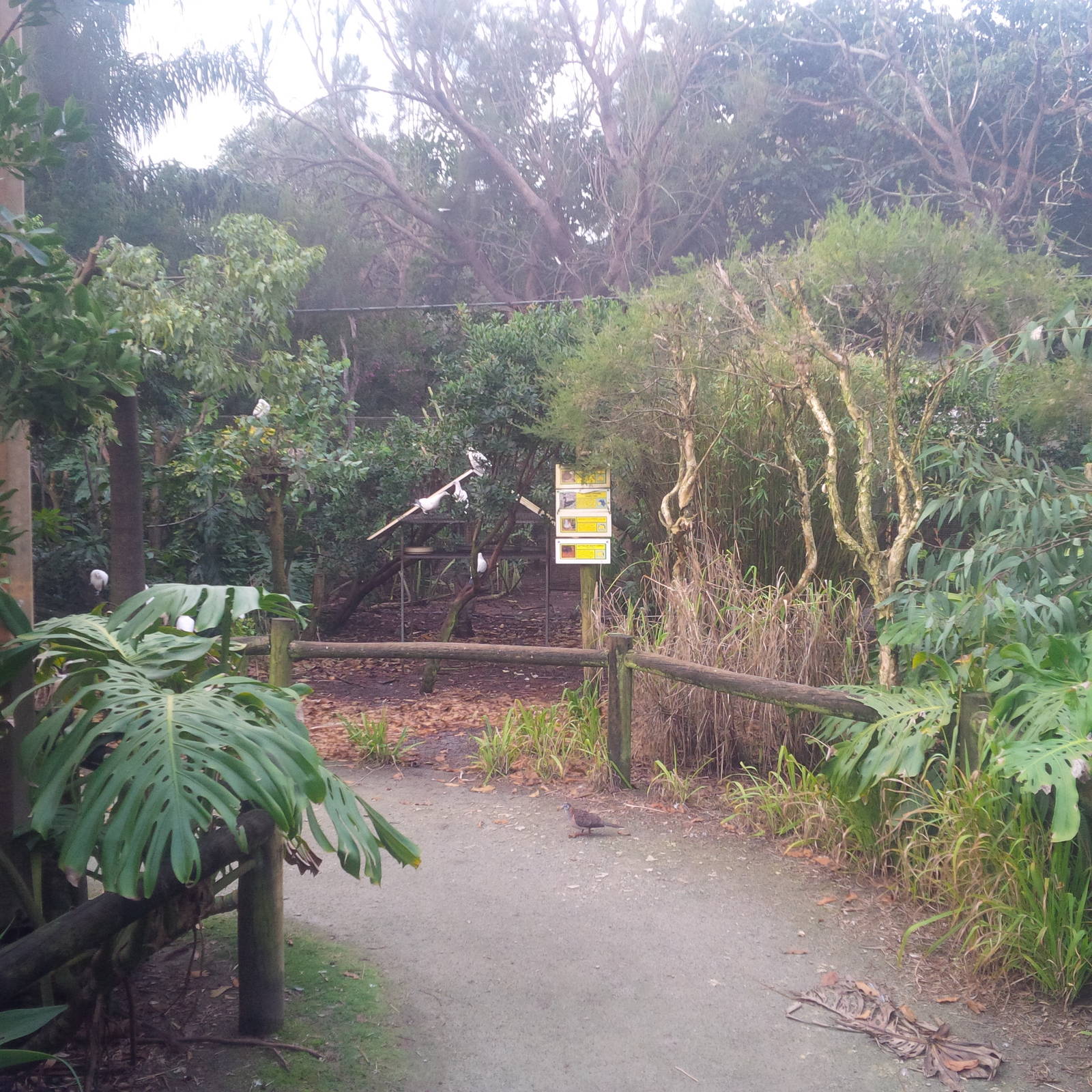 Caversham Wildlife Park WA