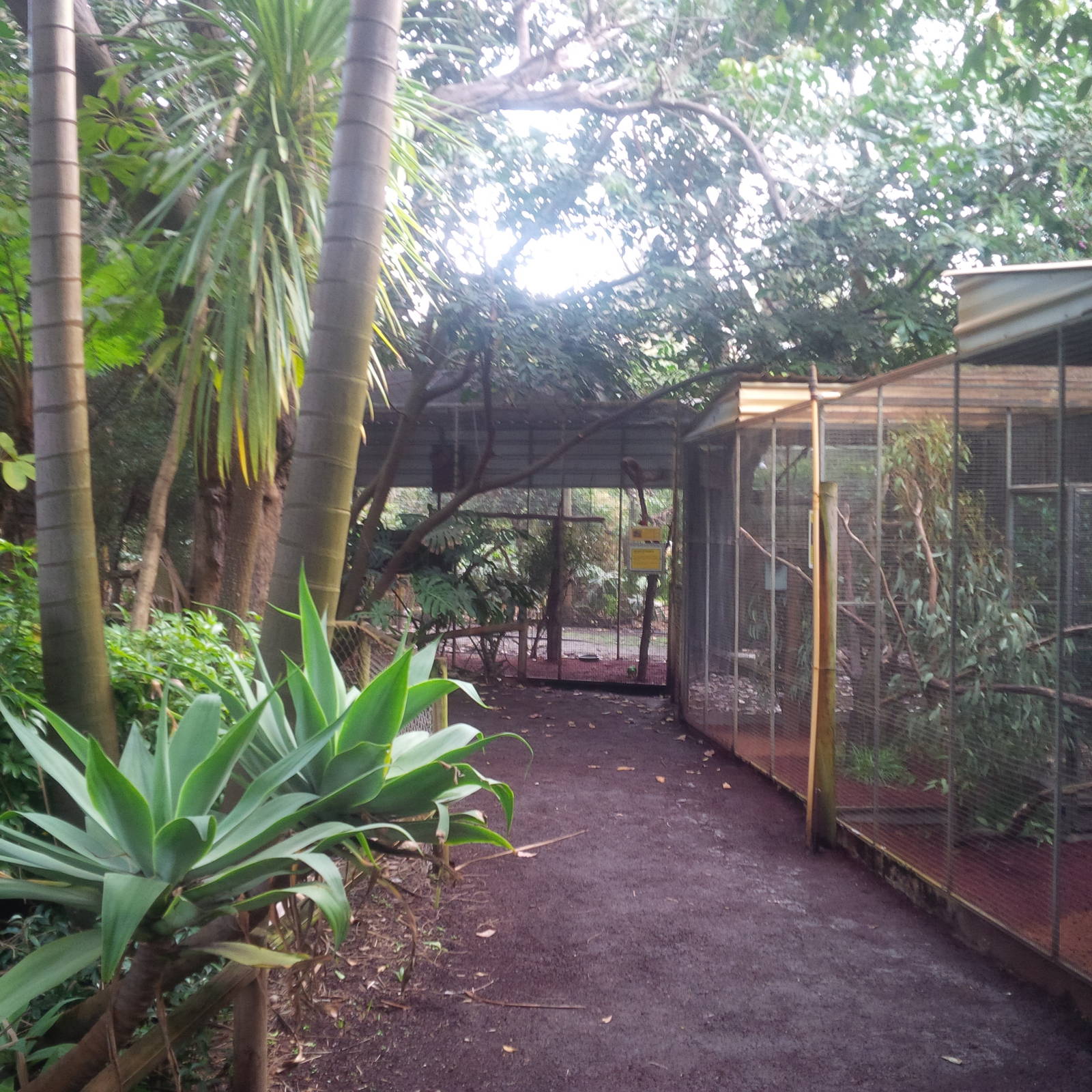 Caversham Wildlife Park WA